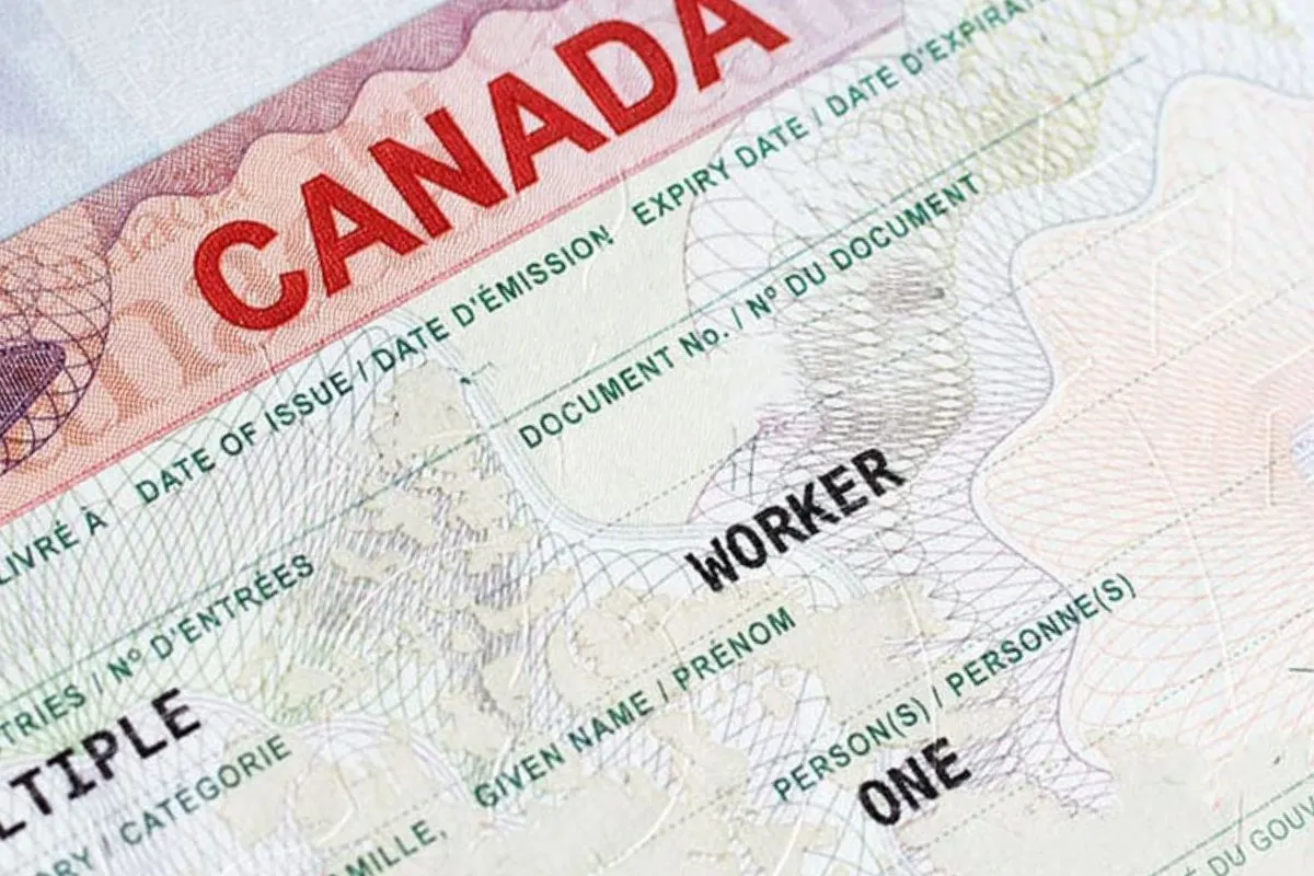 Visa lao động của Canada 