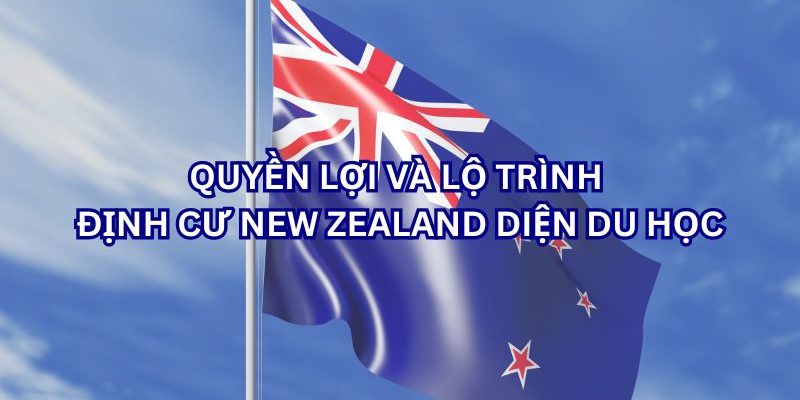 Quyền lợi và lộ trình định cư New Zealand diện du học (Ảnh sưu tầm)