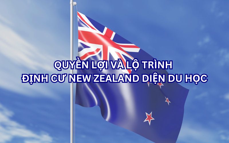 Quyền lợi và lộ trình định cư New Zealand diện du học (Ảnh sưu tầm)