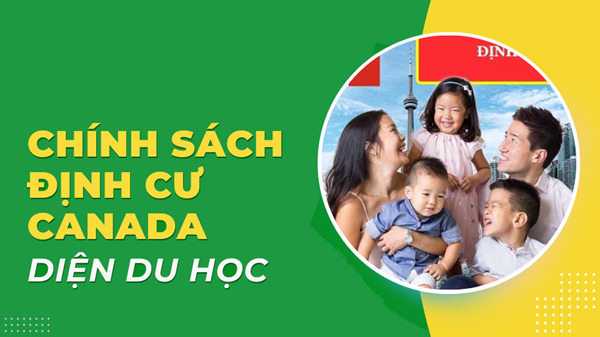 Tìm hiểu cách định cư Canada theo 4 diện định cư phổ biến hiện nay 