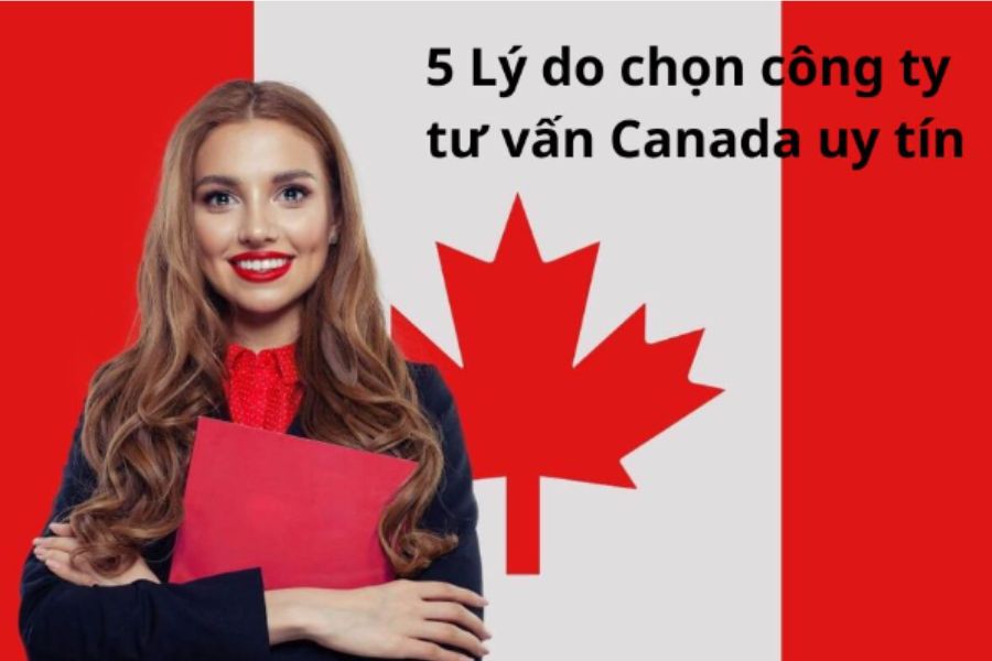 Tìm công ty có nhiều năm kinh nghiệm trong lĩnh vực định cư Canada là một yếu tố quan trọng