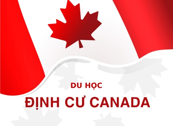 Tổng hợp các chương trình định cư Canada theo diện du học nên tìm hiểu