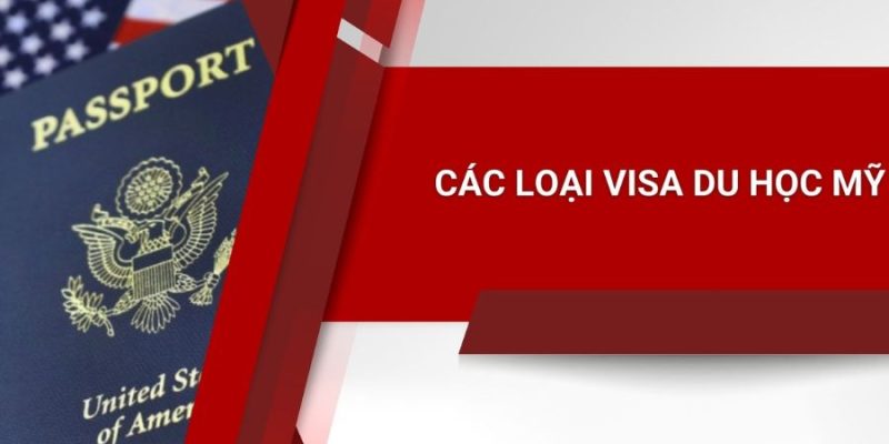 Hãy chọn loại visa phù hợp nhất với kế hoạch học tập của bạn.